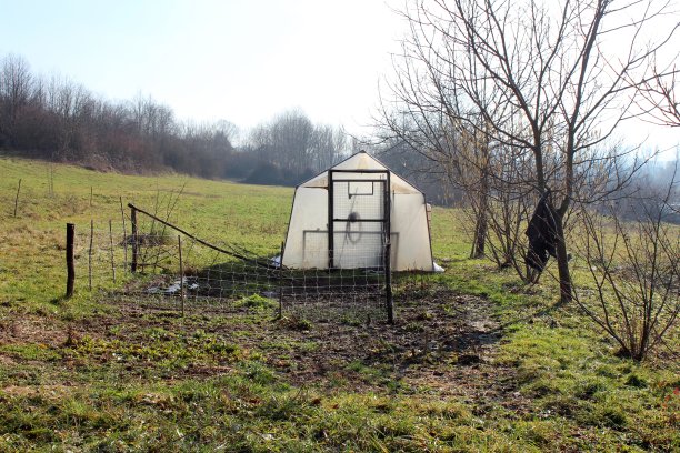温室前面有小花园图片下载