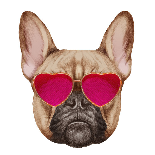 恋爱中的法国斗牛犬!戴着心形太阳镜的法国斗牛犬的肖像。图片下载