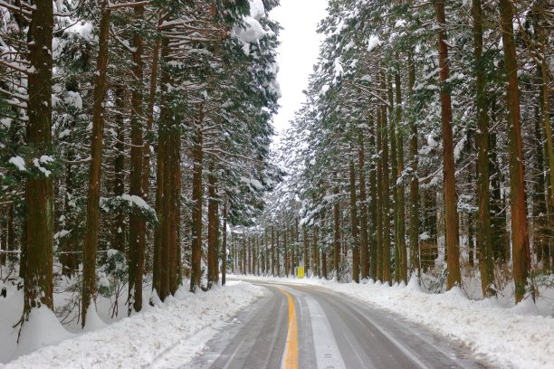 寺庙,冬天,图片下载