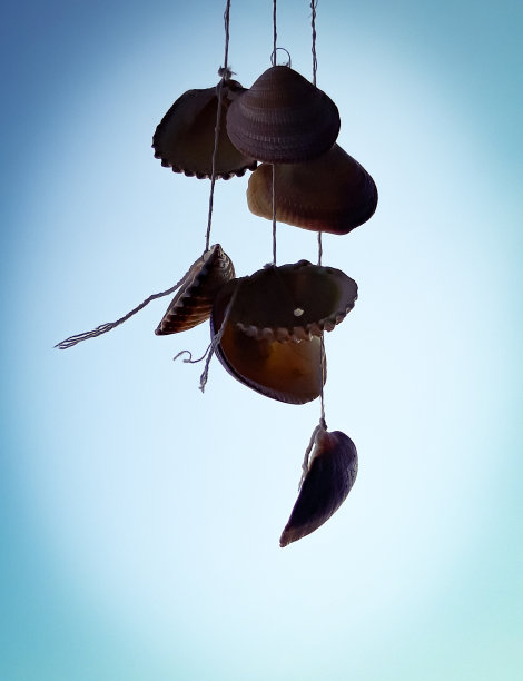 贝壳挂。图片下载