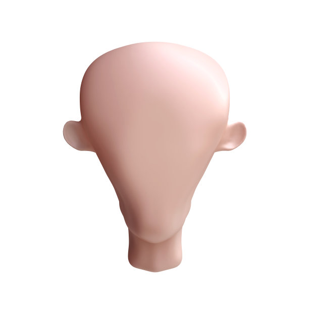 真实的卡通人的头形成孤立的白色背景。人物的身体元素。白色的皮肤。3 d演示。图片下载