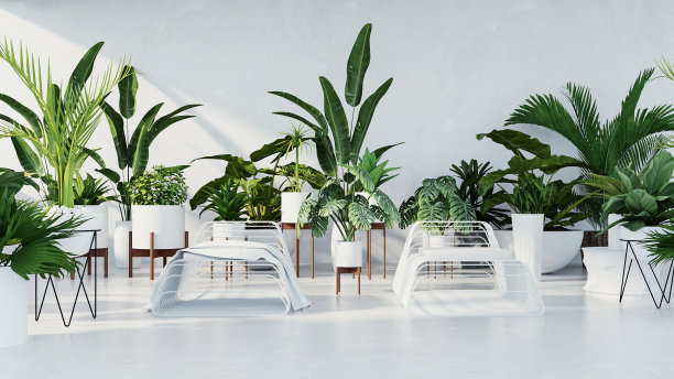 植物室内-热带设计客厅/ 3D渲染图像图片下载