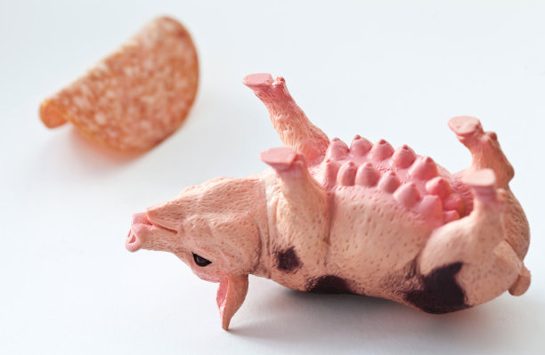 微型塑料猪图片下载