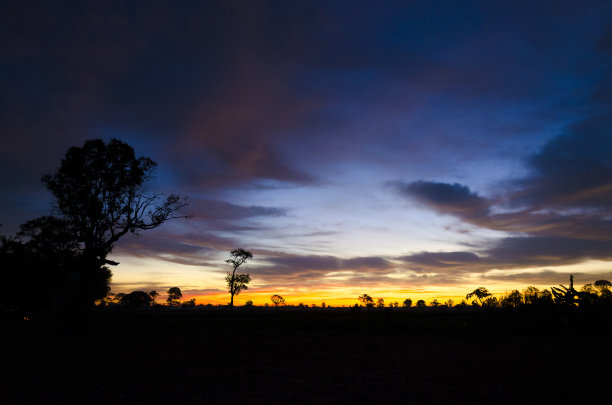 太阳照在树后的剪影。在傍晚，日落之前。抽象的背景。——图片图片下载