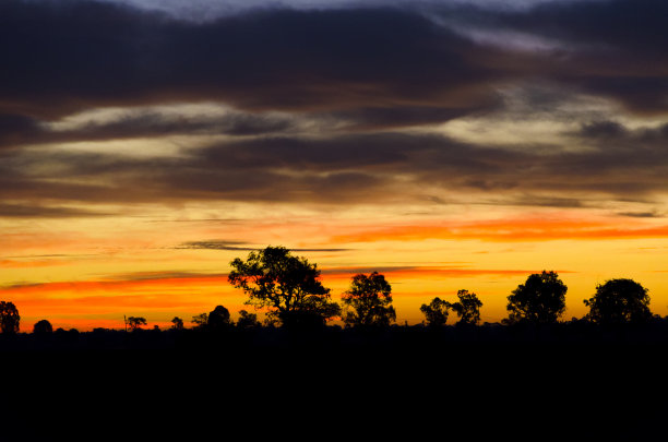 太阳照在树后的剪影。在傍晚，日落之前。抽象的背景。——图片图片下载