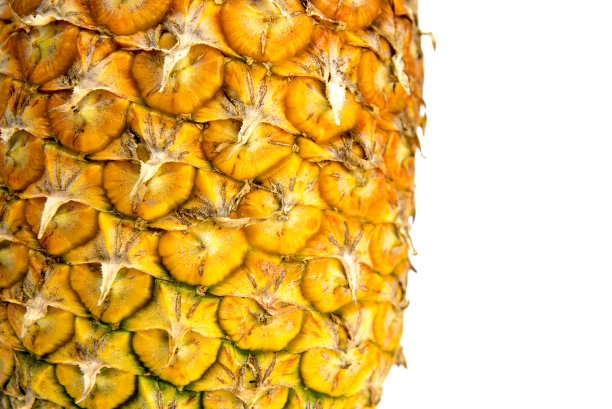 白色背景上分离的新鲜菠萝果实图片下载