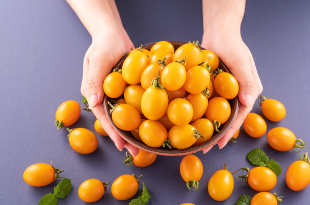 新鲜的樱桃番茄在一个木碗里，一个年轻的女人正在采摘它们用手孤立在蓝色的背景，近距离，复制空间图片下载