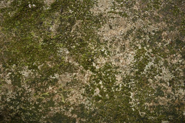 背景/纹理图片下载