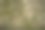 背景/纹理图片下载