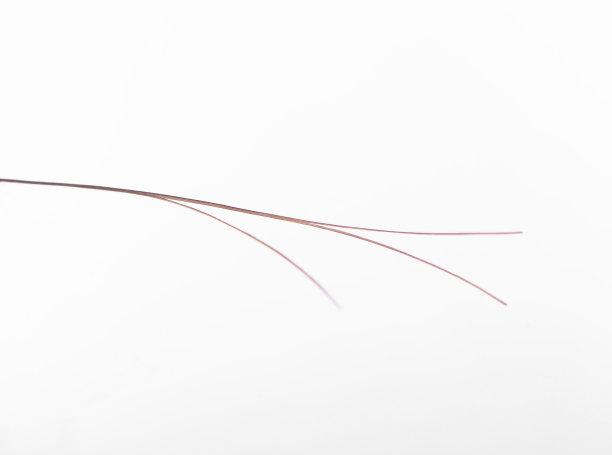 营养不良three-forked头发图片下载