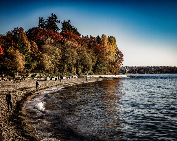 西海岸的观点图片下载