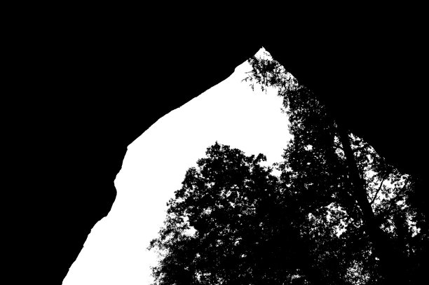 树和树枝剪影图片下载