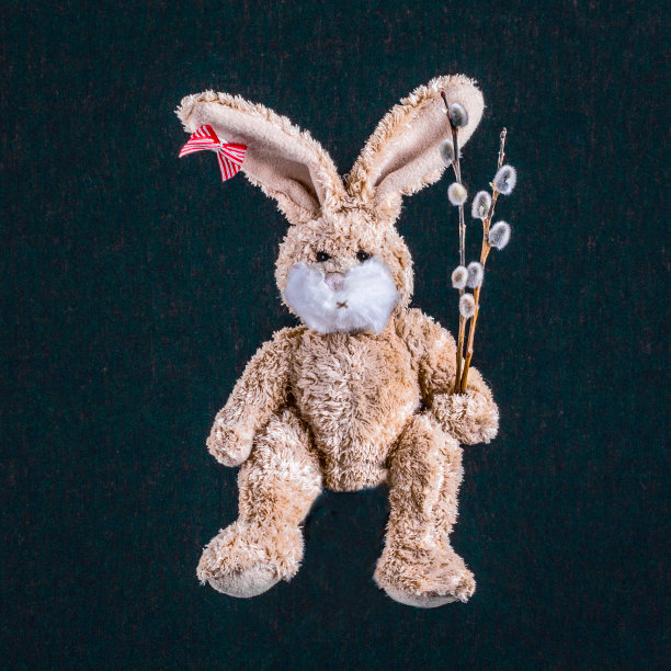 复活节可爱的小兔子软玩具，小兔子用柳枝盖着黑色的背景图片下载