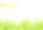 绿色的树叶。叶树叶。植物叶子，草灌木。图片下载