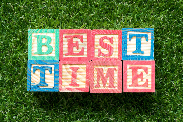 彩色木块在字上最好的时候用人工绿草作背景图片下载