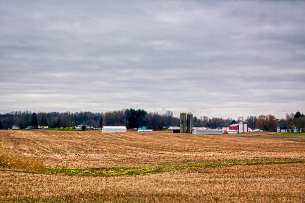 莱克莫尔农场图片下载