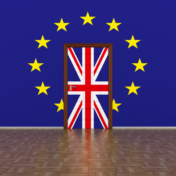 在墙上和门上悬挂欧盟和英国的旗帜。三维图像图片下载