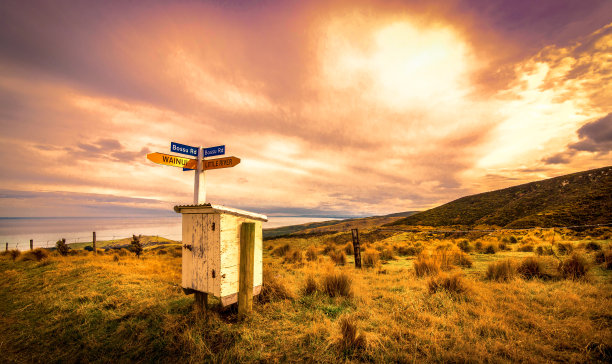 Wanui / Bossu路位于新西兰南岛班克斯半岛图片下载