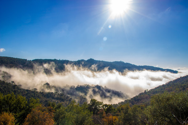 雾在山后和杜洛高地图片下载