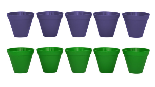 一排排的塑料花盆孤立在白色的背景反射。绿色和紫色。图片下载