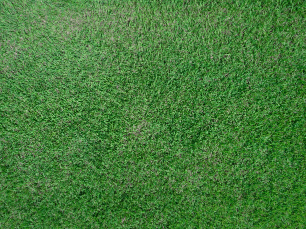 绿草抽象的背景或纹理。高尔夫或足球场图片下载