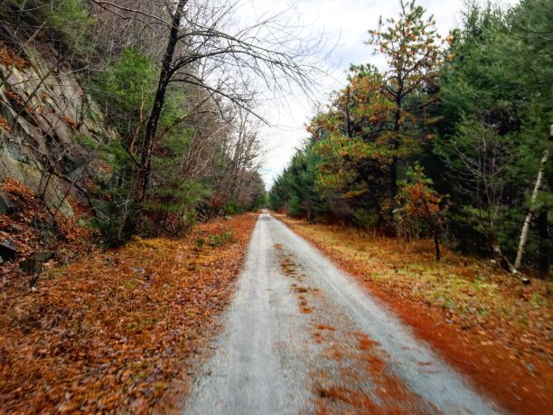 利哈伊路图片下载