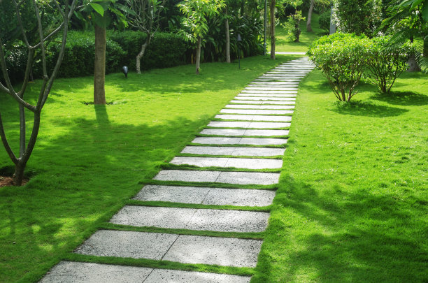 热带花园Pathwey图片下载