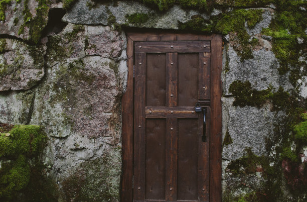 小门在岩石上覆盖着绿色的苔藓图片下载