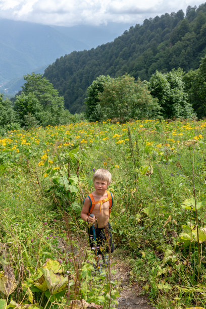 一个背着背包、拄着拐杖的小男孩在茂密的草丛中沿着小路行走图片下载