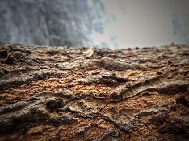 木材纹理背景图片下载