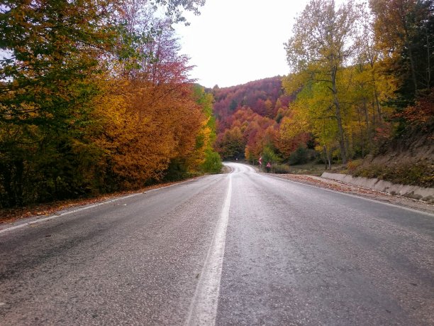 秋天的路图片下载