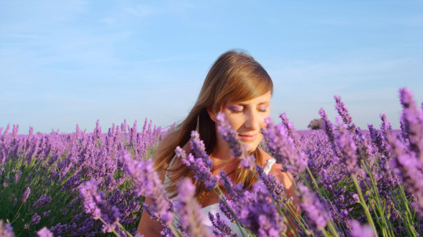 年轻女子享受在盛开的薰衣草田在法国图片下载