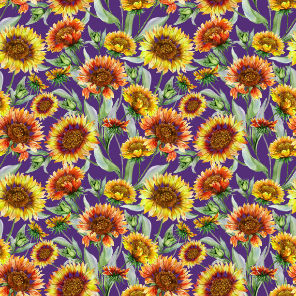 美丽的橙色和黄色的金菊花与叶子。无缝的植物图案。水彩画。图片下载