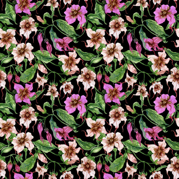 美丽的丝瓜花攀缘小枝上。无缝的花卉图案。水彩画。图片下载