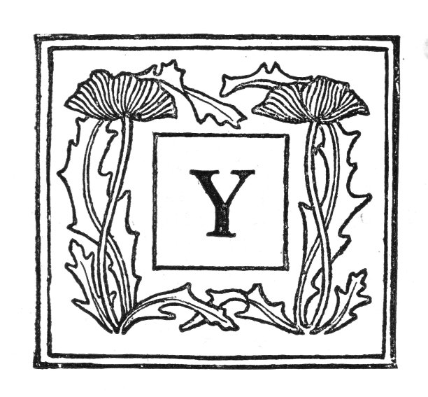 维多利亚时代的黑白版画，首字母大写Y，描绘了一种风格的花在一个厚边界内;1892年英语了图片下载