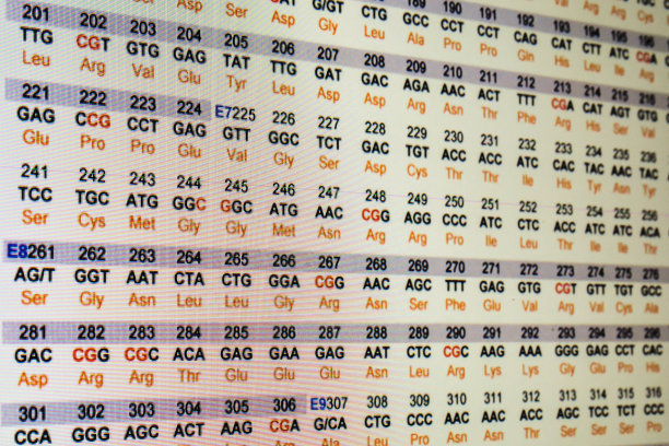 遗传密码。图片下载