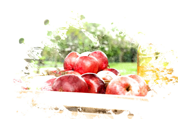 抽象红色苹果水果水彩插画背景。图片下载