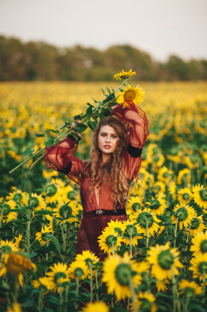 年轻美丽的女人穿着裙子在盛开的向日葵中。Agro-culture。图片下载