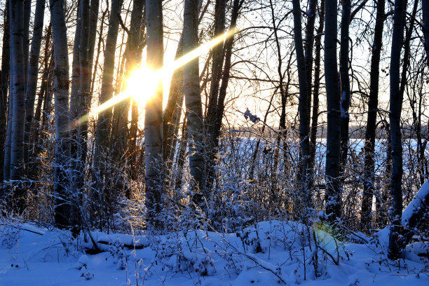 冬季仙境图片下载