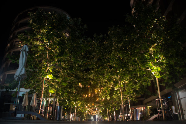 夜间都市四重奏图片下载