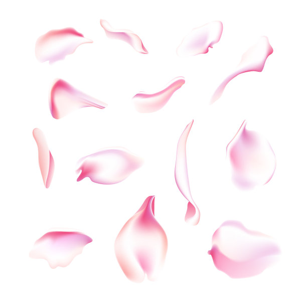 向量集粉红色的玫瑰和樱花花瓣。模糊的春天花的花瓣设置装饰元素，雄蕊。樱花花瓣集，盛开的玫瑰花瓣对象，花瓣元素集与模糊的樱花素材图片