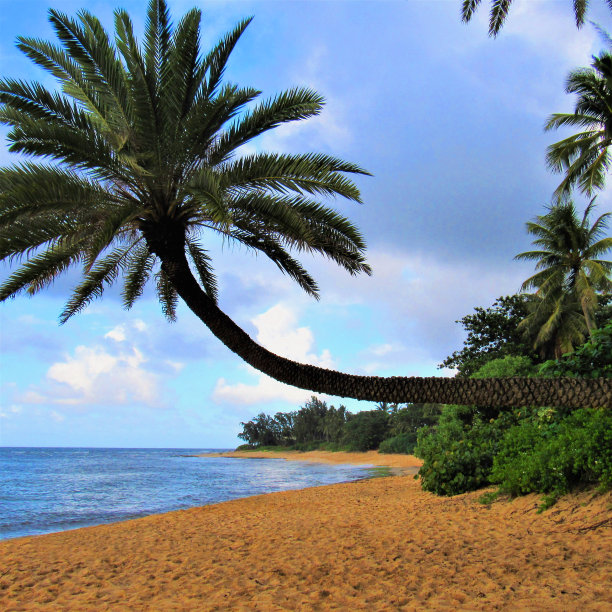日落海滩，北岸，日落，瓦胡岛，夏威夷图片下载