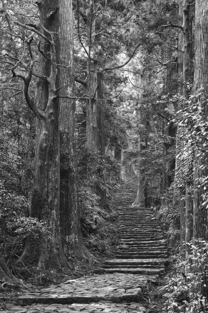 森林在日本图片下载