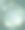白色的花朵。花的背景。百合花。绿色的树叶。婚礼的邀请。图片下载