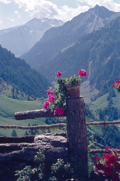 奥地利Timmelsjoch的木制喷泉图片下载