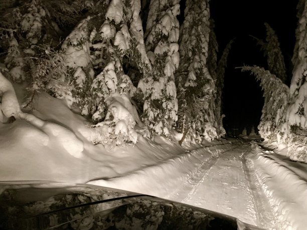 冬天的风景图片下载