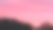 树梢上方的夜空图片下载