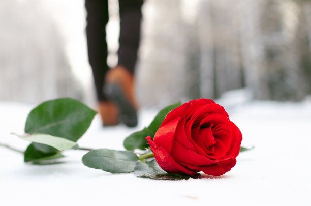 约会。图片下载