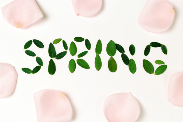 题词春白底色，绿叶图片下载