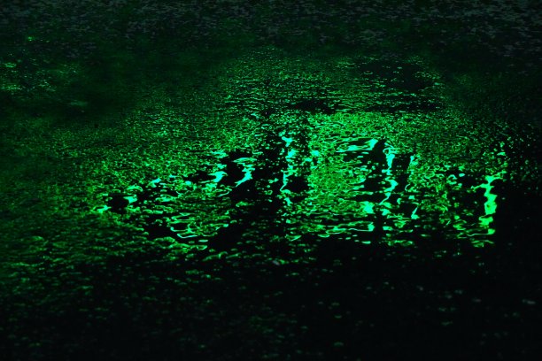 绿色的水图片下载